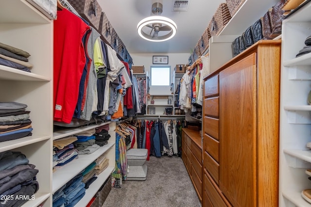 spacious closet featuring visible vents and carpet flooring