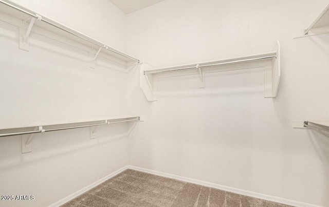 spacious closet featuring carpet flooring