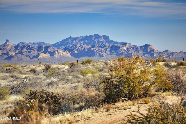 24450 N 132nd Pl, Scottsdale, AZ 85255 - view of mountain backdrop
