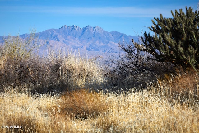 24450 N 132nd Pl, Scottsdale, AZ 85255 - view of mountain background