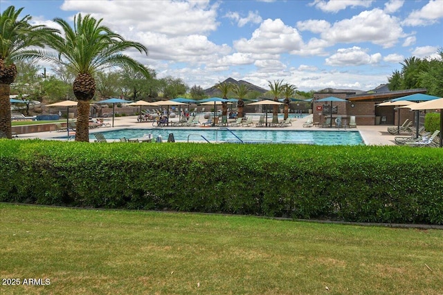 12775 W Lowden Rd, Peoria, AZ 85383 - community pool with a lawn and a patio