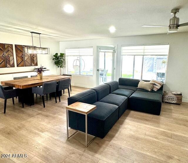 living room featuring ceiling fan, light wood-type flooring, and a wealth of natural light