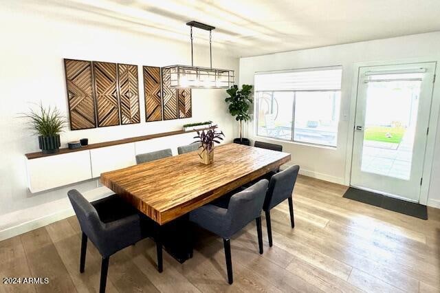 dining room with light hardwood / wood-style flooring