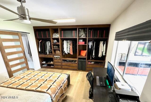 mudroom with ceiling fan and light wood-type flooring