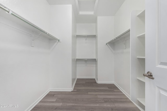 spacious closet with dark hardwood / wood-style flooring