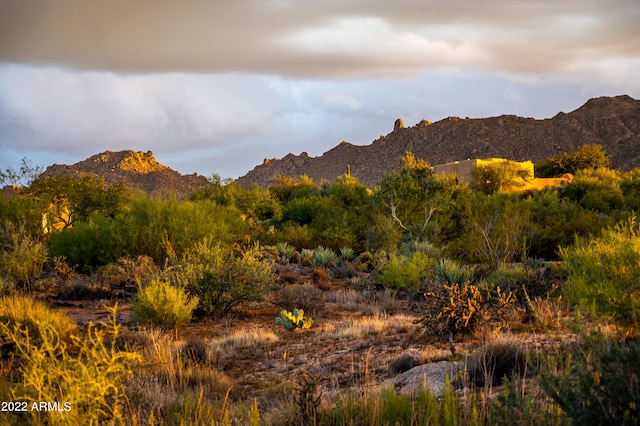 view of mountain feature