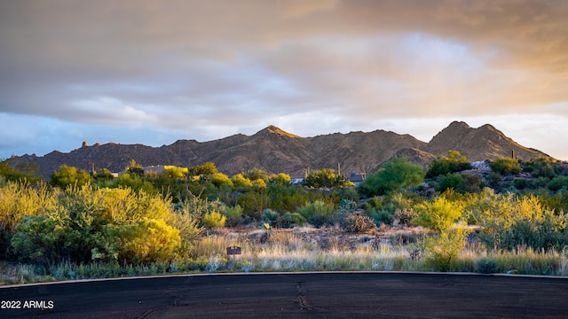 view of mountain feature