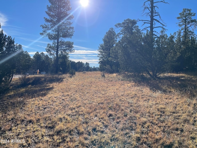 1915 State Route 260th Rd Unit 178, Overgaard AZ, 85933 land for sale