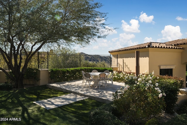 view of yard featuring a patio