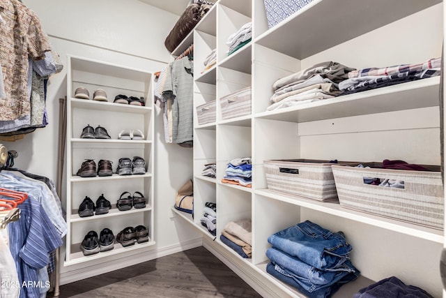 spacious closet featuring dark hardwood / wood-style floors