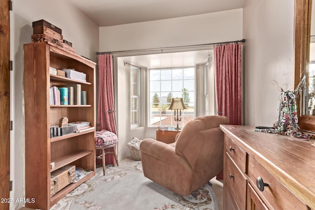 380 N Geneva Estates Rd, Pearce, AZ 85625 - view of living area