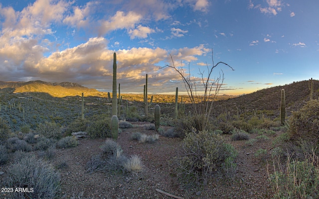 41927 N Charbray Dr Unit 24, Scottsdale AZ, 85262 land for sale