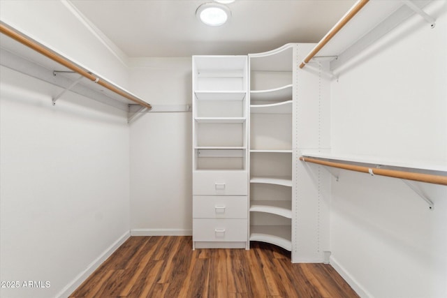 walk in closet with dark hardwood / wood-style floors