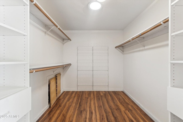 walk in closet with dark hardwood / wood-style floors