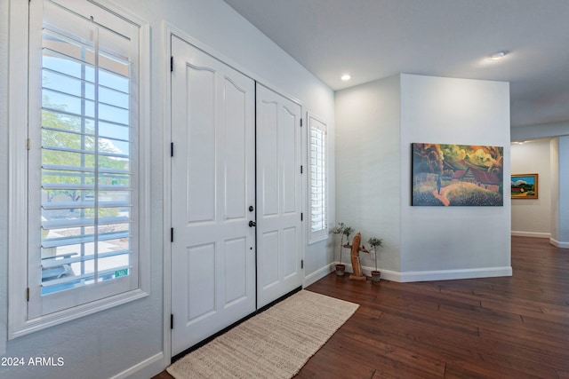 foyer entrance with dark wood-type flooring