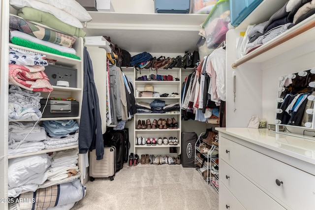view of spacious closet