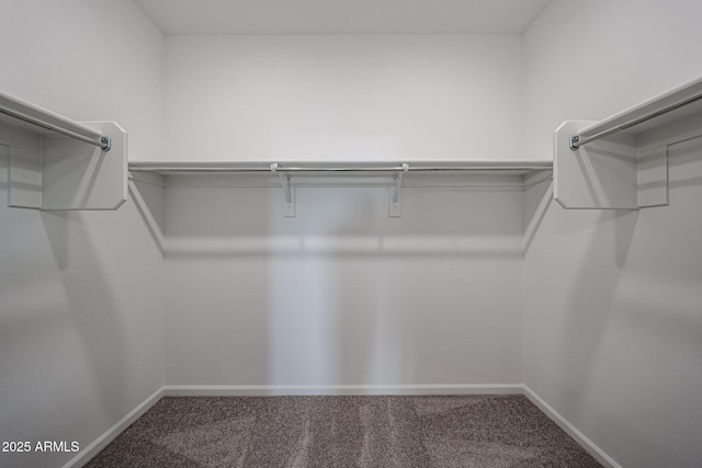 2514 E Music Mountain Ave, Apache Junction, AZ 85119 - walk in closet featuring carpet