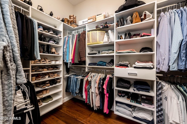 walk in closet featuring dark hardwood / wood-style flooring