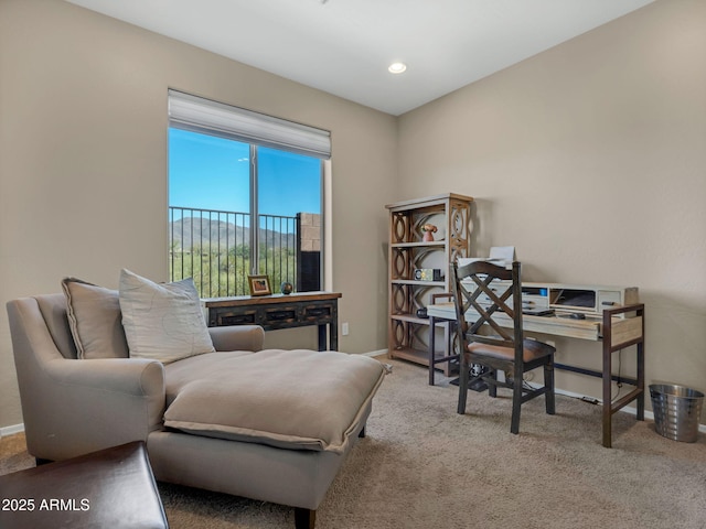 carpeted office with baseboards