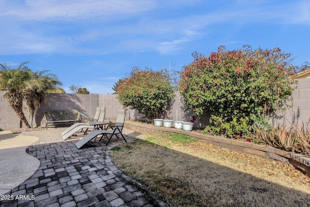 view of yard featuring a patio