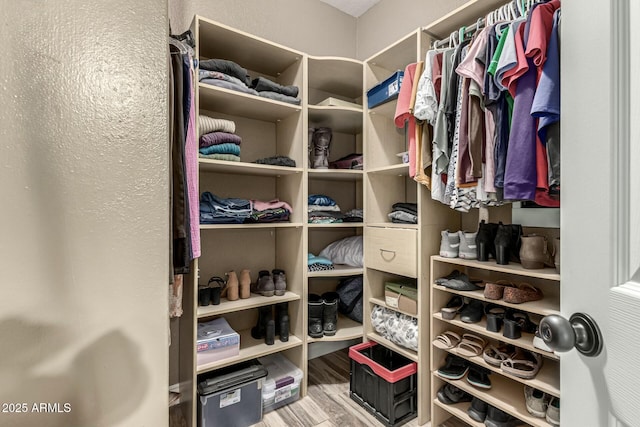 walk in closet featuring wood finished floors