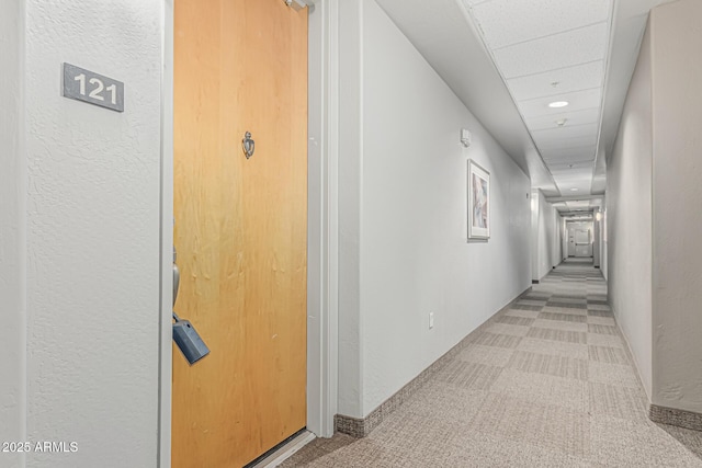 hallway with recessed lighting, a drop ceiling, and light carpet