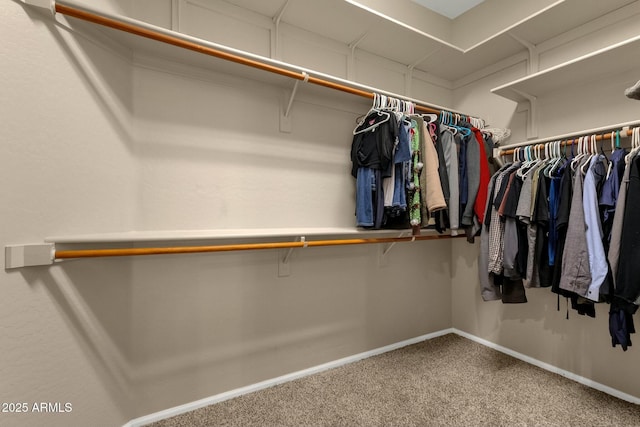 spacious closet with carpet