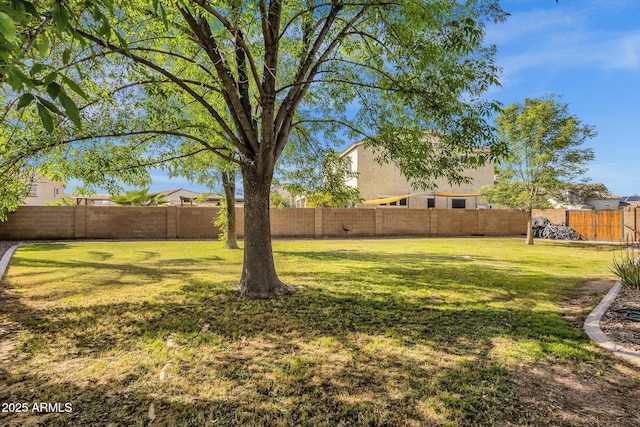 view of yard featuring a fenced backyard