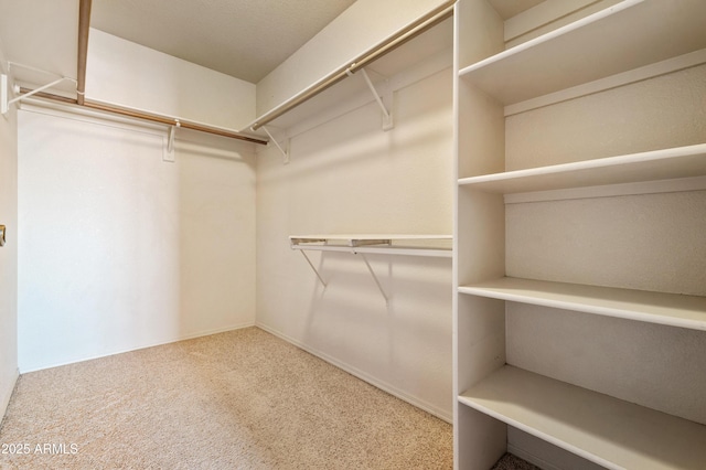 walk in closet with carpet flooring