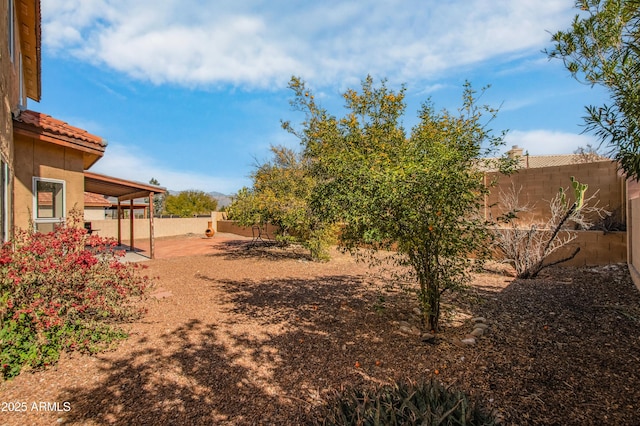 view of yard with a patio area