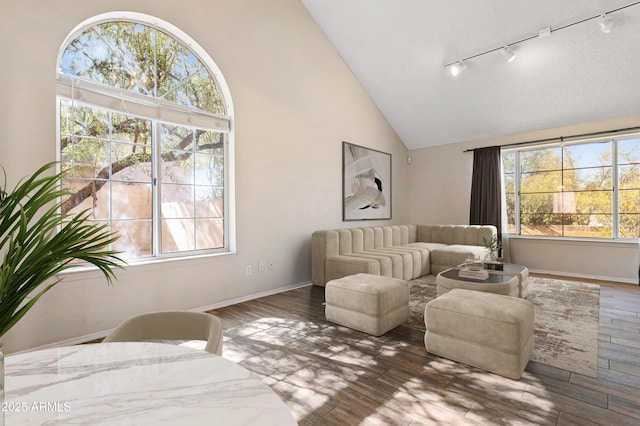 sitting room with track lighting, high vaulted ceiling, and hardwood / wood-style floors