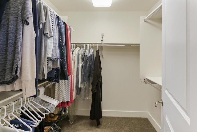 walk in closet featuring carpet