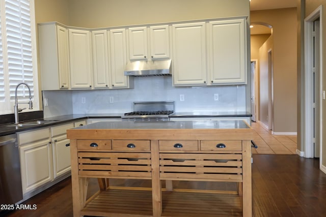 kitchen with arched walkways, a sink, under cabinet range hood, stainless steel dishwasher, and range