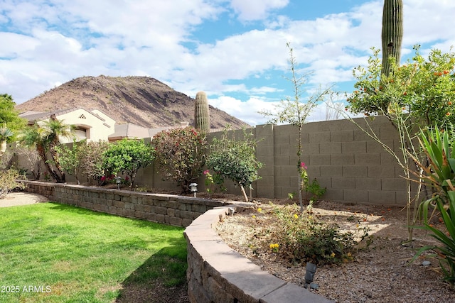 view of yard with a fenced backyard and a mountain view