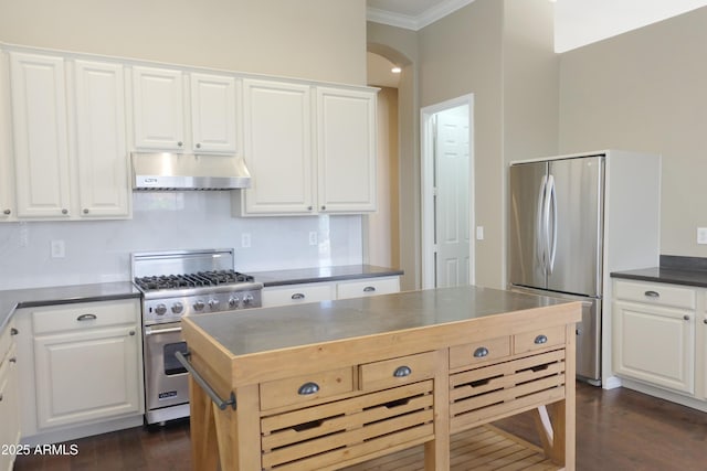 kitchen featuring under cabinet range hood, arched walkways, stainless steel appliances, and dark wood-type flooring