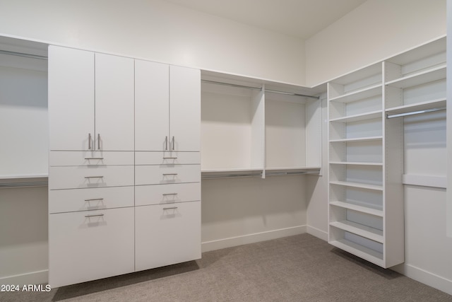 34749 N 83rd Way, Scottsdale, AZ 85266 - spacious closet featuring dark carpet