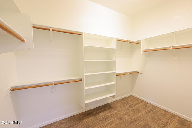 spacious closet with hardwood / wood-style floors