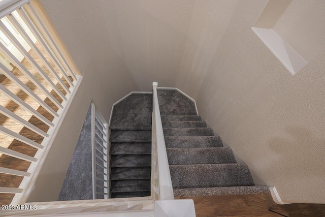 staircase with hardwood / wood-style floors