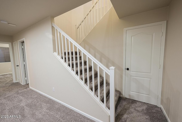 staircase with carpet floors