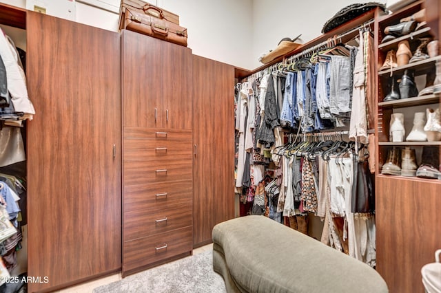 view of spacious closet