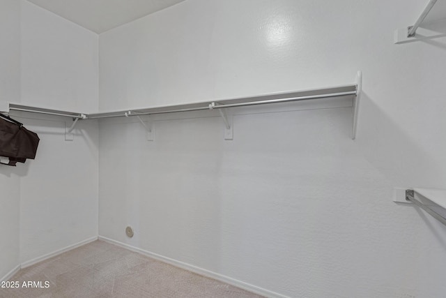 spacious closet featuring light colored carpet