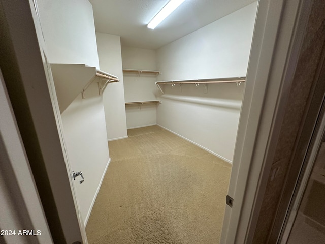 spacious closet with light carpet