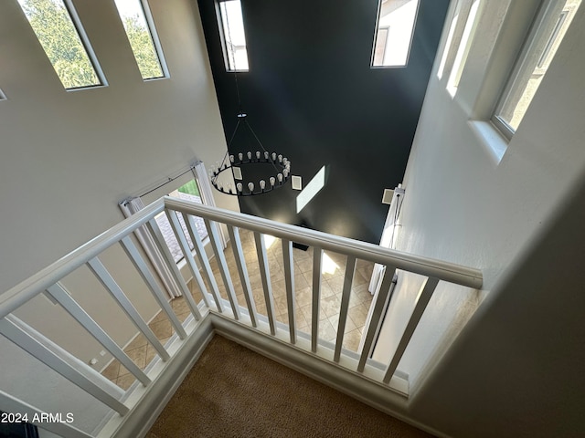 stairway with carpet floors