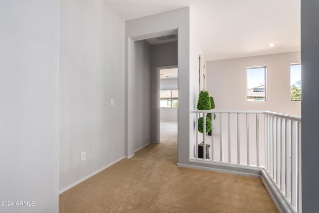 hall featuring a wealth of natural light and light carpet