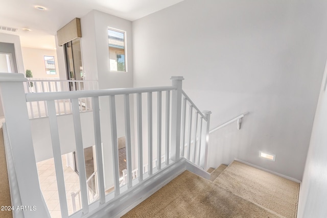 stairway featuring carpet