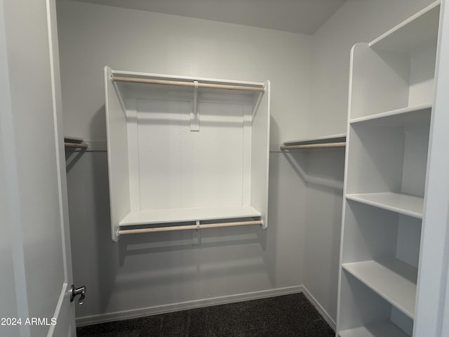 view of walk in closet