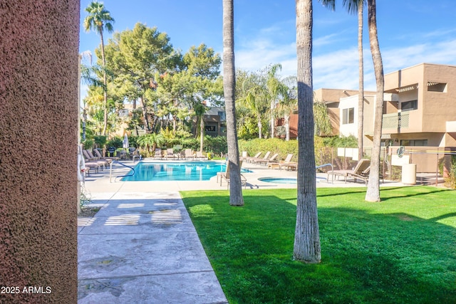 view of swimming pool with a lawn and a patio