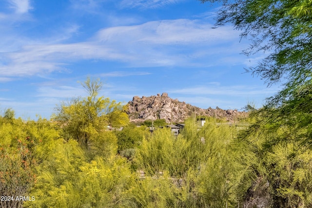 view of mountain feature