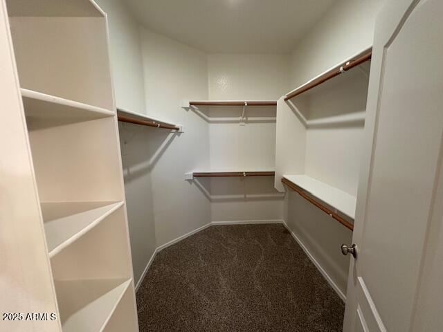 20985 N 81st Dr, Peoria, AZ 85382 - spacious closet with carpet flooring