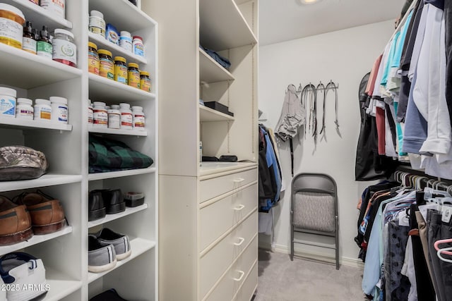 spacious closet with light carpet